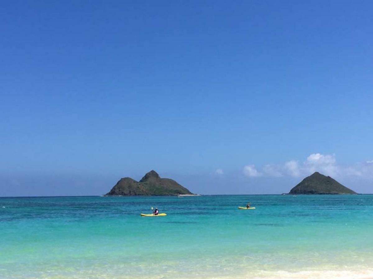 Lovely Relaxing Lanikai Studio, Legal Vacation Rental Kailua Extérieur photo